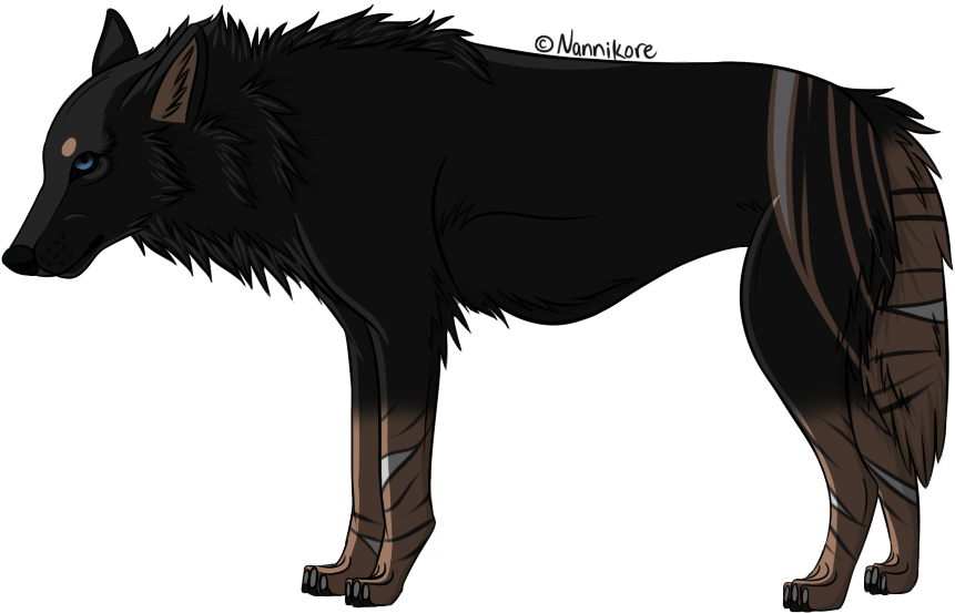 Mataki By Nannikore - Schipperke (1024x640), Png Download