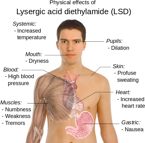 Acid Drug Effects (497x480), Png Download