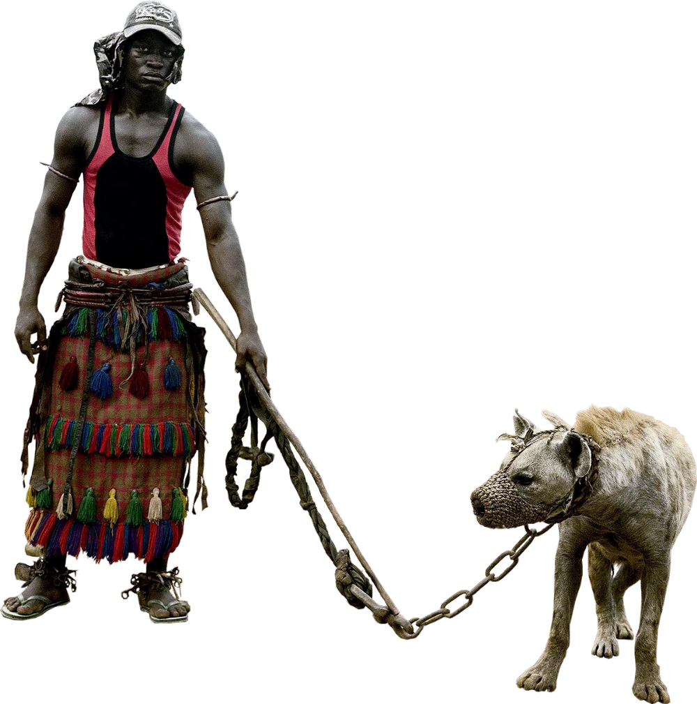 Animal & Personan African Man Leading A Hyena - Pieter Hugo Magnum (1000x1009), Png Download