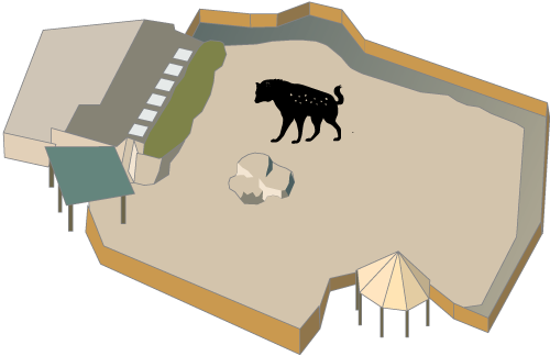 Hyena - Buffalo Zoo Hyenas (500x324), Png Download