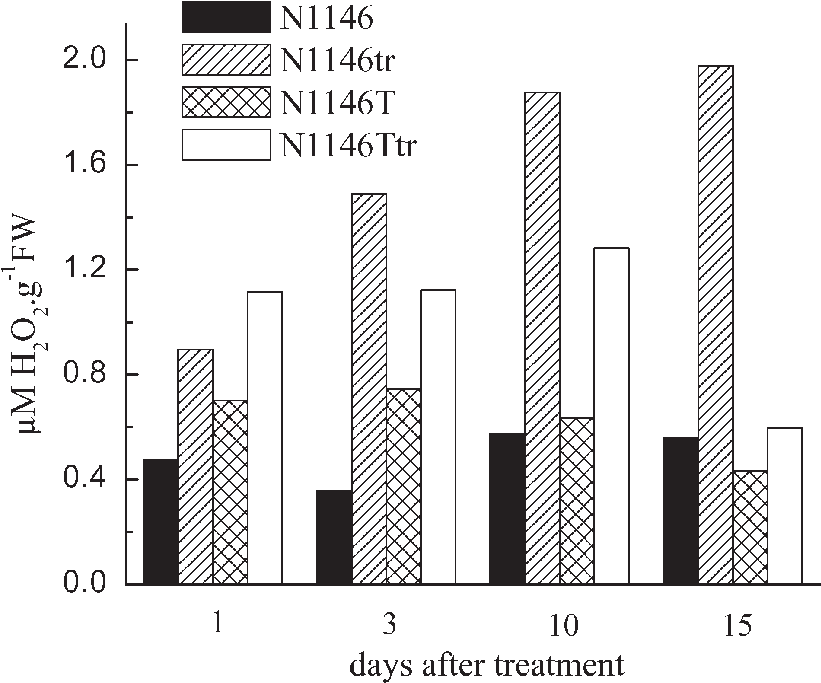 The Effect Of Chlorsulfuron On Hydrogen Peroxide Content - Hydrogen Peroxide (848x708), Png Download