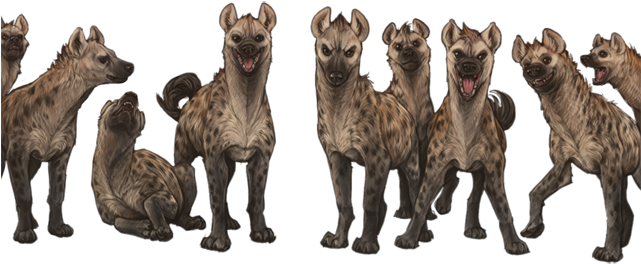 Largehyenaclanday - Hyena Clan (640x385), Png Download
