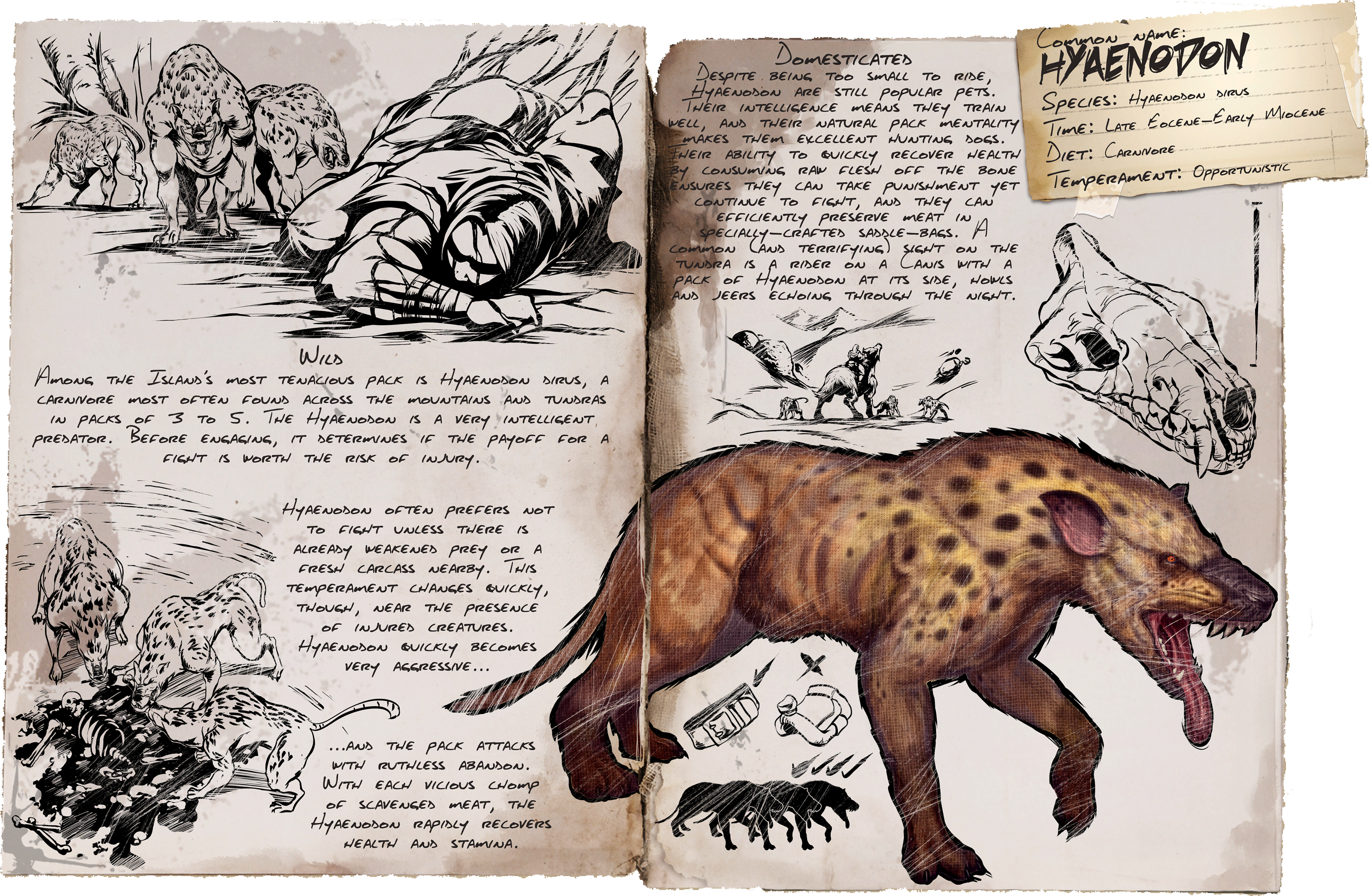 Ok, What The Hell Is The 'pet' Functionality On Te - Ark Hyaenodon (4000x2660), Png Download
