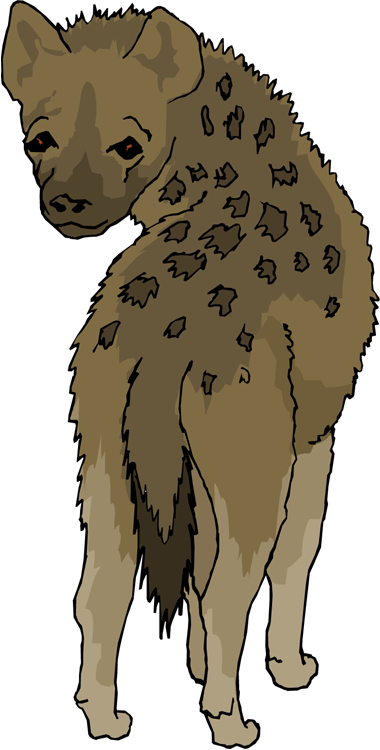Hyena Png - Kodiak Bear (380x750), Png Download
