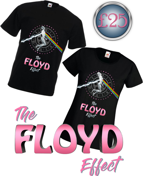 High - Pink Floyd (500x617), Png Download