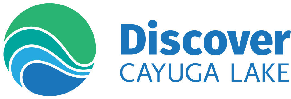 Dcl Headerlogo Format=1000w (966x331), Png Download