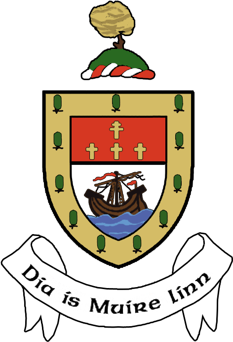 Mayo - Mayo County Council (703x703), Png Download