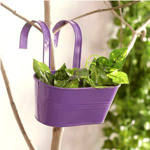 Wall Hanging Plants - Railing Pots (800x800), Png Download