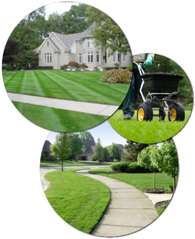 Lawn Services Png (440x543), Png Download