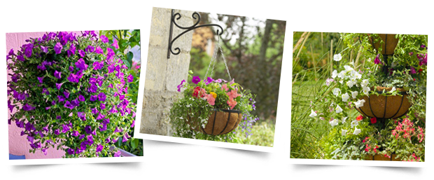 Hanging Garden - Gardman 3 Tier Georgian Flower Fountain Garden Planter (620x257), Png Download
