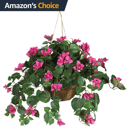 Nearly Natural Hanging Bougainvillea In Basket, With - Hidden Camera Flower (500x500), Png Download