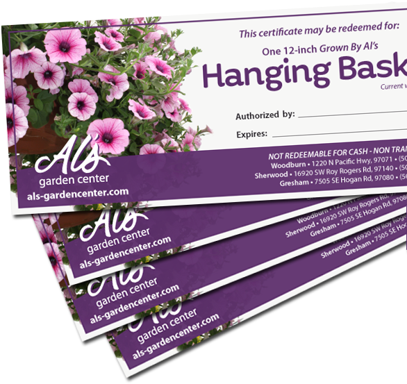 Stack Of Al's Hanging Basket Vouchers - Hanging Basket (600x600), Png Download