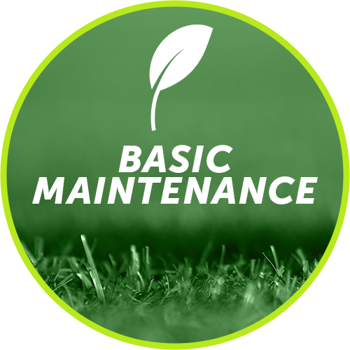 $100 Per Month * Basic Maintenance Will Include The - Grass (500x500), Png Download