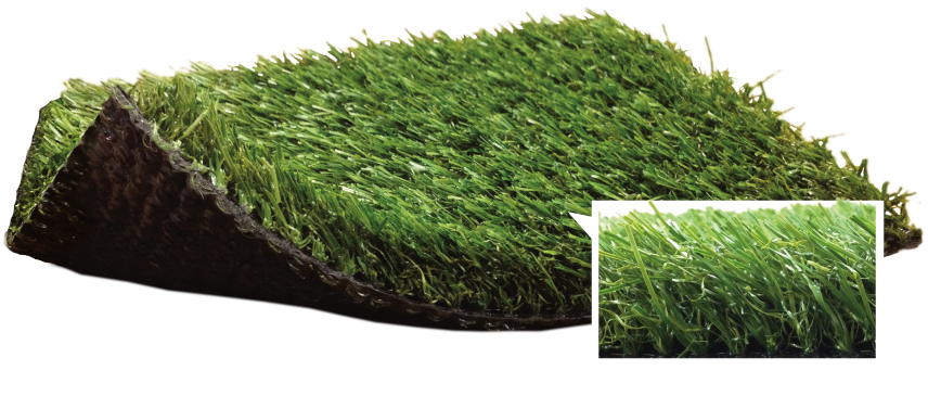 Grand-champion - Blue Grass Landscape (856x365), Png Download