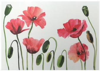 Papavero Watercolor (400x400), Png Download