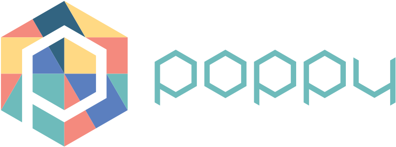 Poppy Project Documentation - Education (1000x495), Png Download