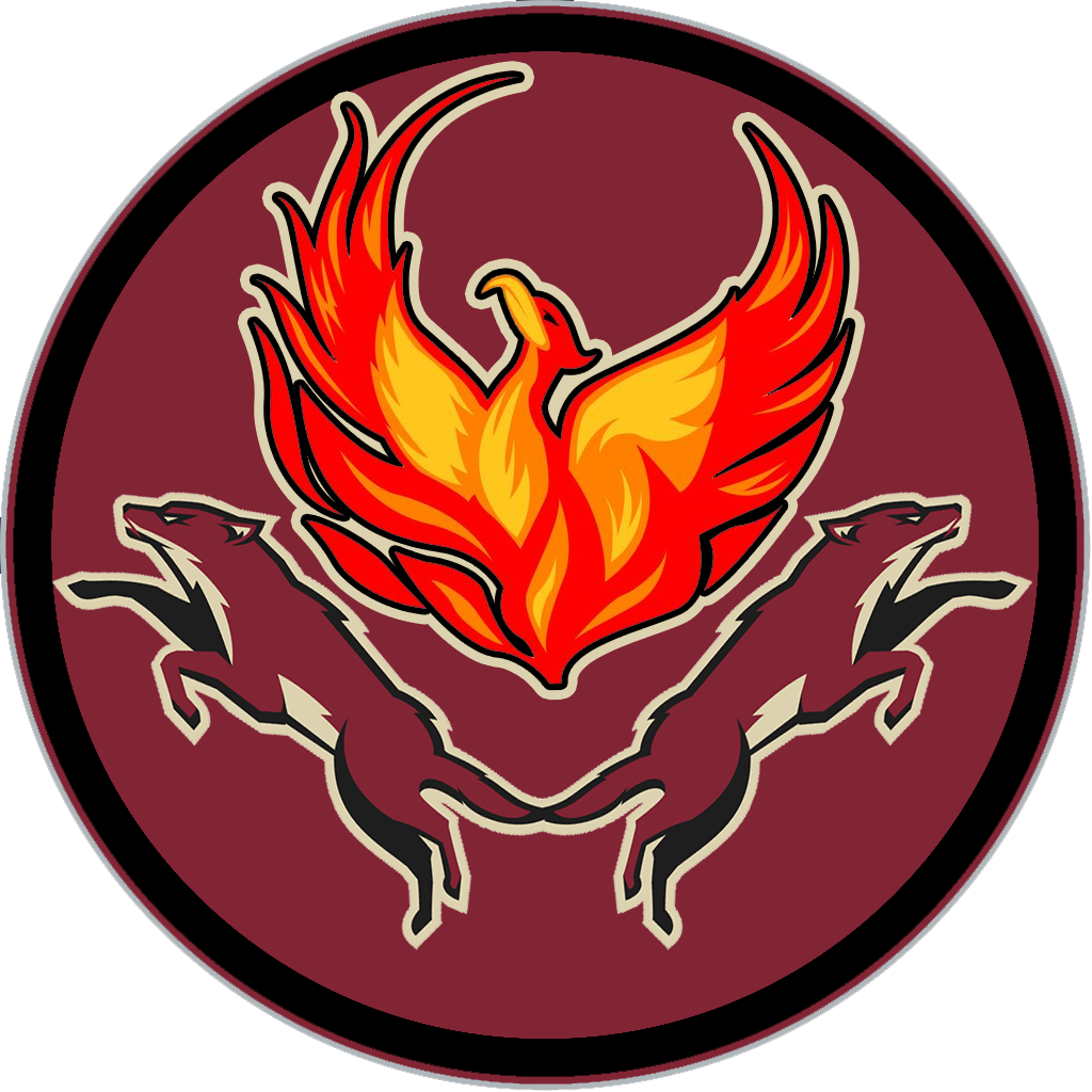 To Commemorate Tonight's Game, I Made A Phoenix Coyotes - Polyester Cotton Prints Zippered Phoenix Coyotes Soft (1024x1024), Png Download