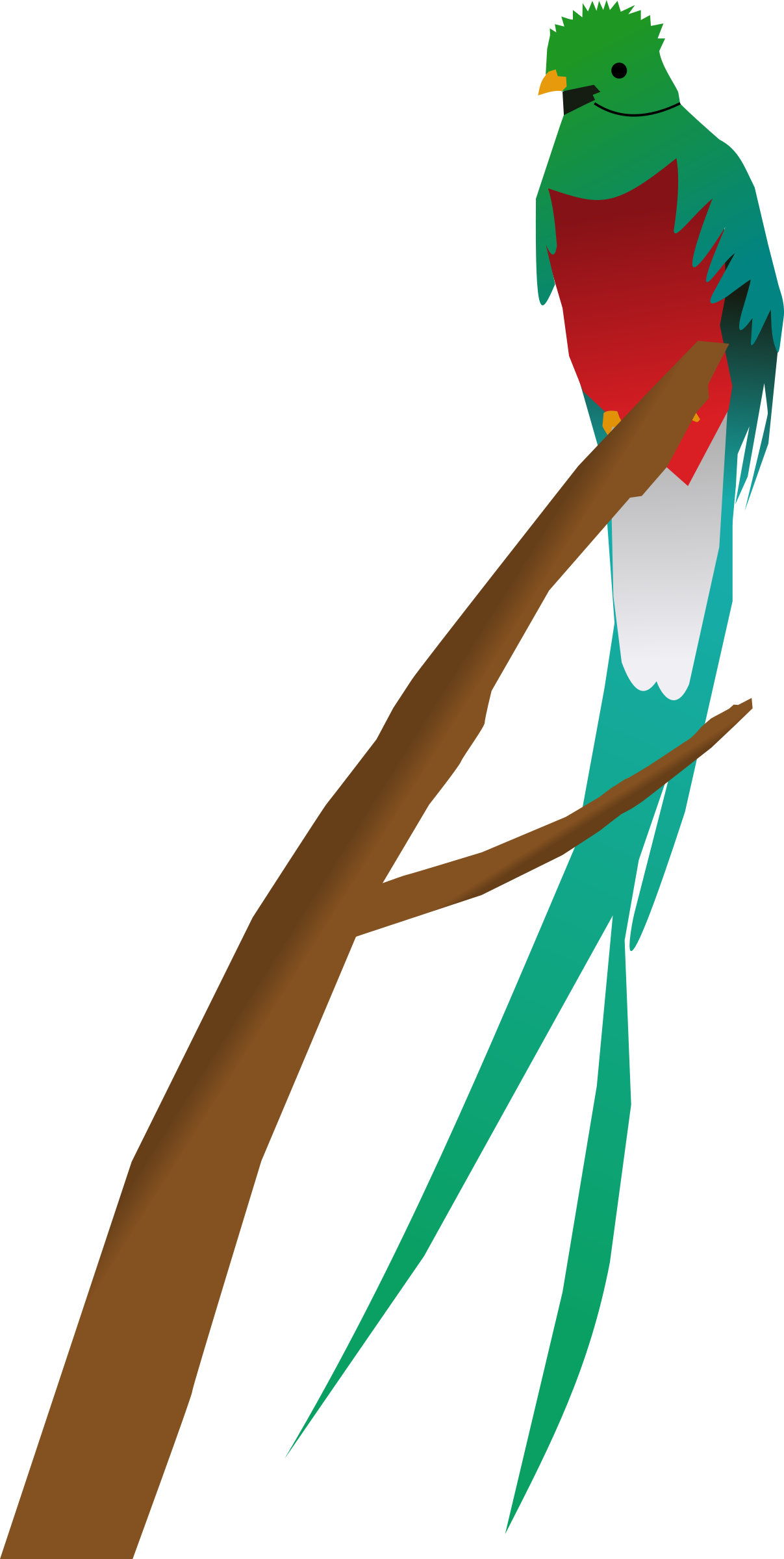 Banner Library Library Clipart Big Image Png - Tropical Bird Clip Art (1207x2400), Png Download