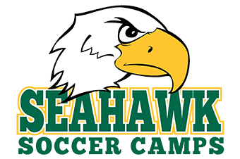 Seahawk Soccer - Football (1080x225), Png Download