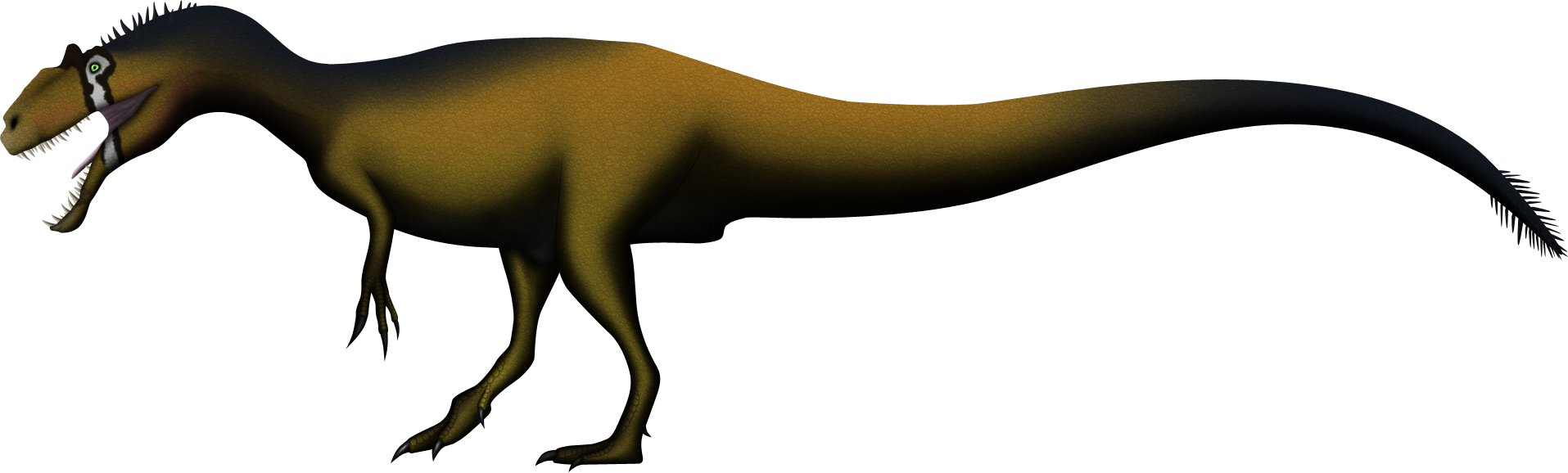 Broken Jaw By Spinoinwonderland On Deviantart Banner - Broken Jaw Dinosaur Revolution (1915x578), Png Download