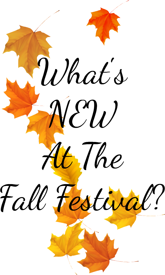 A Full Day Of Fun - Akita (800x1200), Png Download