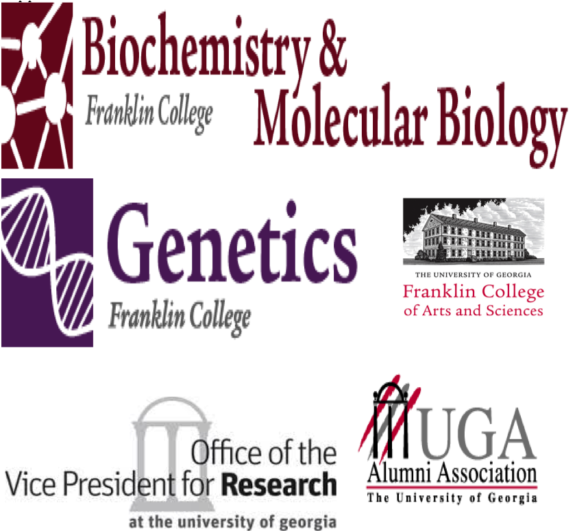 Thank You To Our Archaeal Interlab Participants - Graphic Design (900x812), Png Download