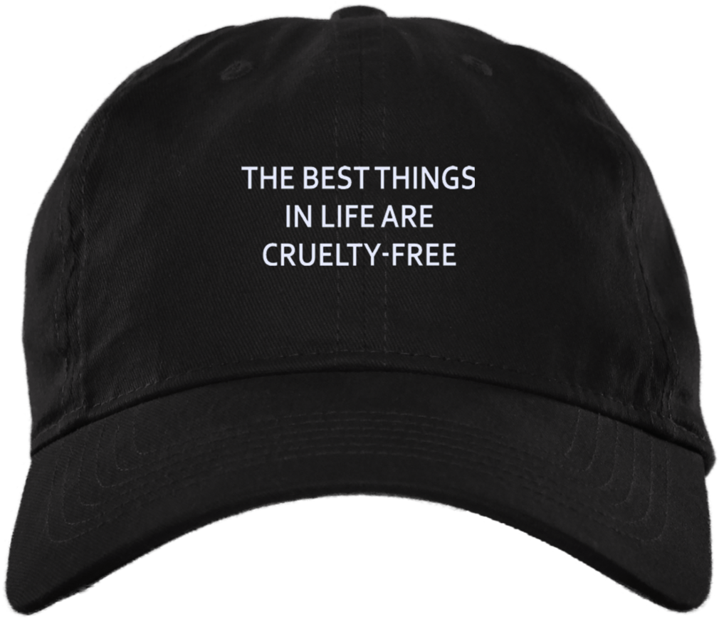 Best Things In Life Dad Cap - Men's Champion Classic Twill Hat (1024x1024), Png Download