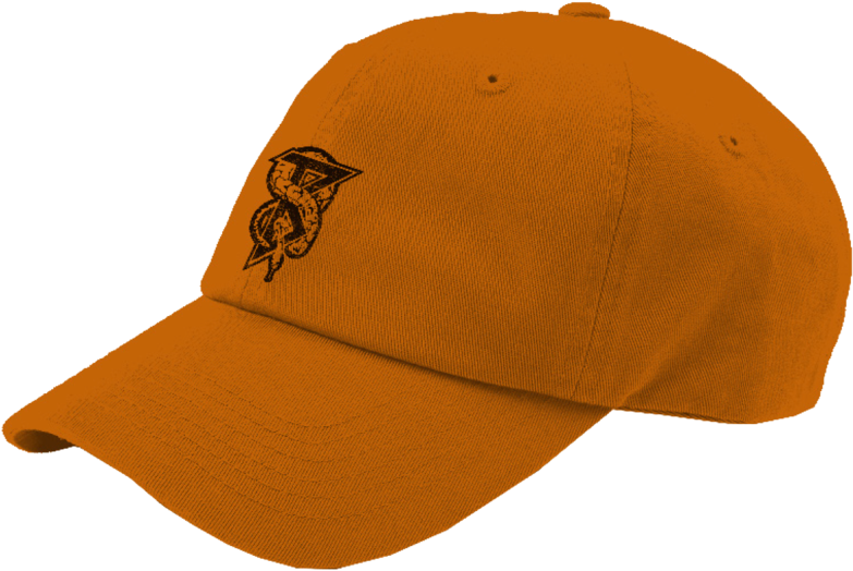 Snake B Dad Hat - Hat (1024x1024), Png Download