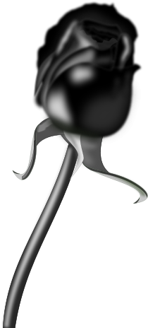 Rosa Negra Clipart Png (424x600), Png Download