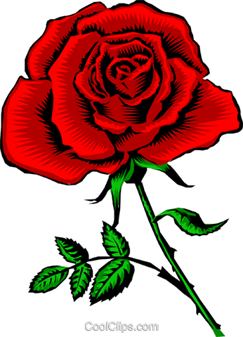 Red Rose Royalty Free Vector Clip Art Illustration - Free Scroll Saw Patterns Roses (346x480), Png Download