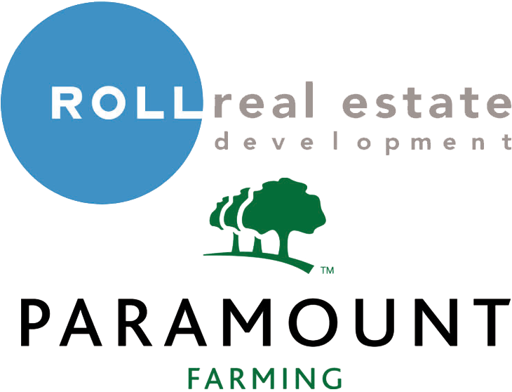 Roll Paramount Logo - Graphic Design (757x586), Png Download