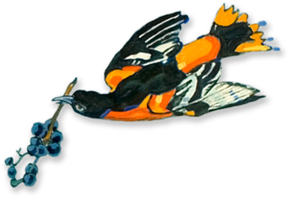 Orange - " - Illustration (1045x846), Png Download