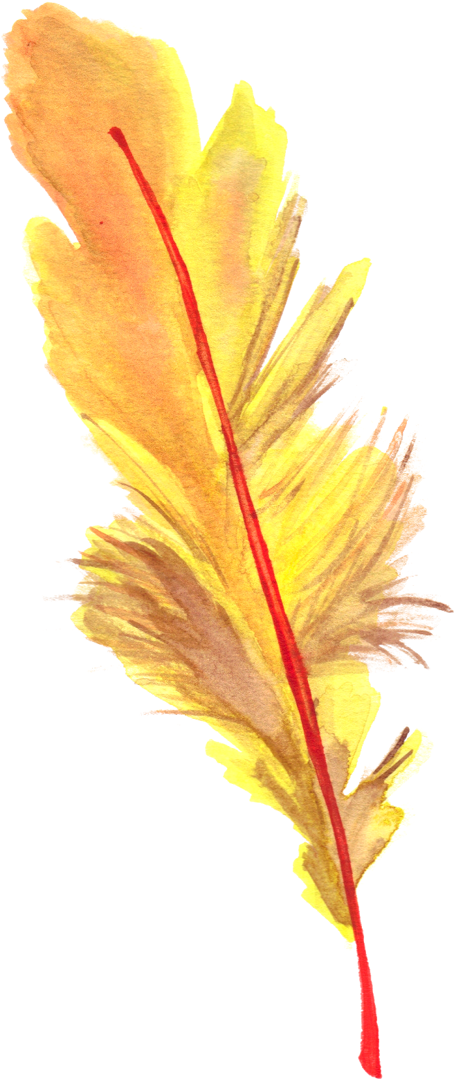 Feather Decoración De Unas, Google Drive, Pluma, Plumas, - Picsart Photo Studio (686x1600), Png Download