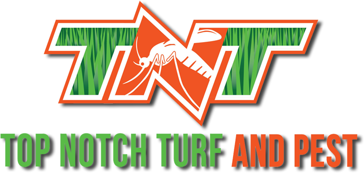 Tnt Lawn Care - Dry Cleaning (750x367), Png Download