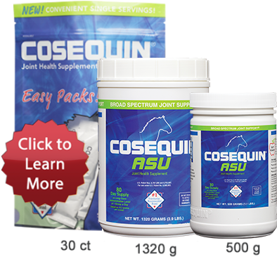 Nutramax Asu Joint Health Horse Supplement, 1.1-lb (400x500), Png Download