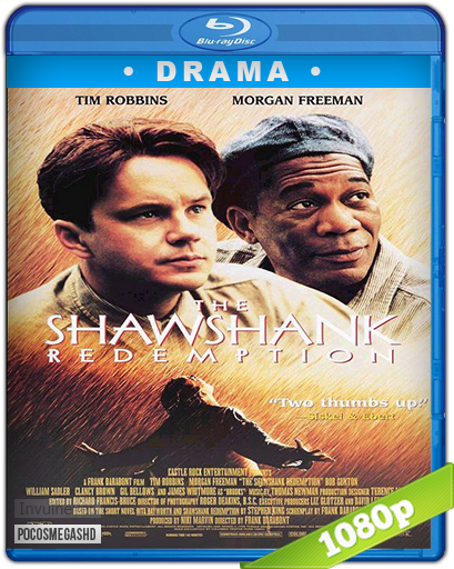 Http - //www - Pocosmegashdd - Com/2015/11/suenos- - Metal Plate Movie Theater Decor Wall Decal Tin Sign (542x542), Png Download