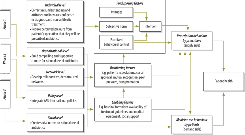 Conceptual Framework Of The Antibiotics Smart Use Model - Conceptual Framework On Antimicrobial Resistance (850x469), Png Download