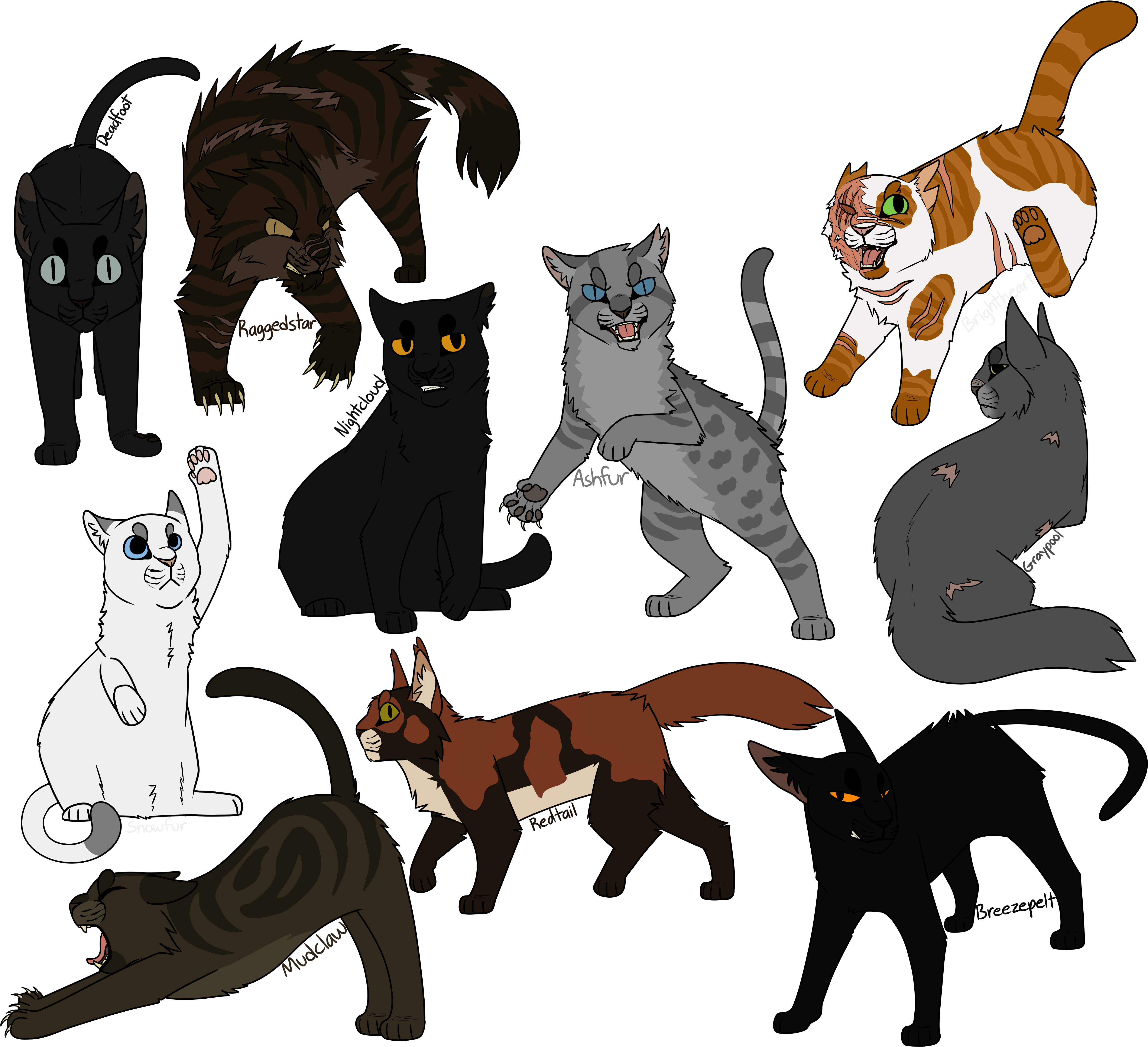 100 Warriors Challenge Days 71-80 - Cat (5400x4942), Png Download