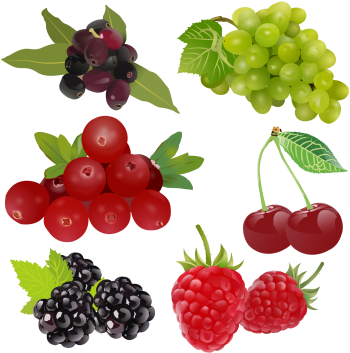 1 Of 4 Fruit Set Drawing 3d Stock, Set Clipart, Exquisite - Fruits Drawing Hd (360x360), Png Download