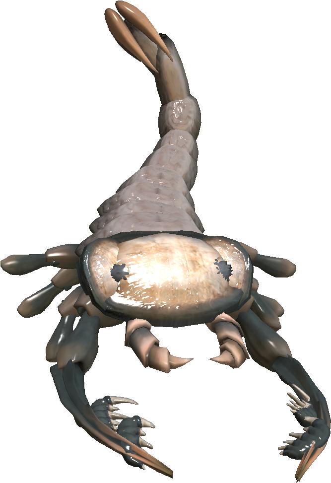 Http - //vignette2 - Wikia - Nocookie - - Portable Network Graphics (785x1002), Png Download