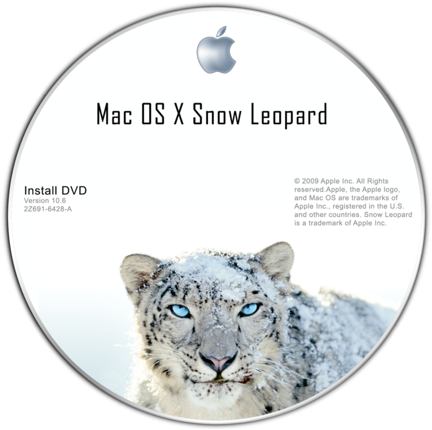 Initial Release Date - Snow Leopard Hemis National Park (894x894), Png Download