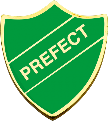 Prefect-slytherin - Head Boy Of School (500x556), Png Download