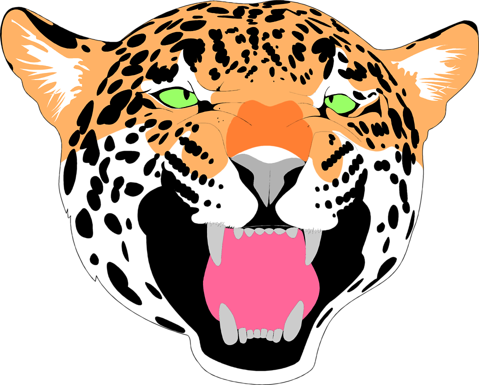 Jaguar Clipart Face - Northwest High School Germantown Md (958x770), Png Download