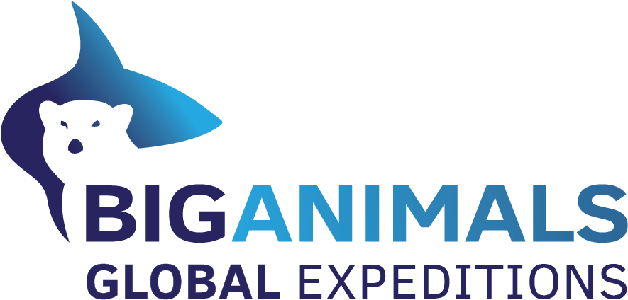 Big Animals Expeditions (889x444), Png Download
