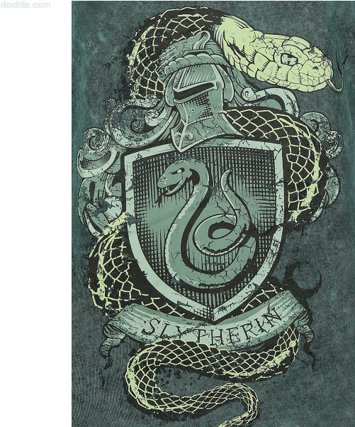 Harry Potter Slytherin Poster (600x600), Png Download