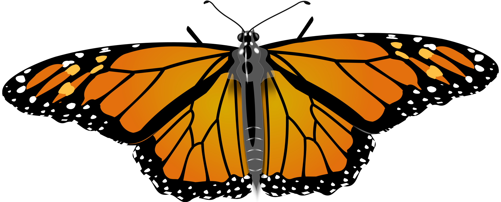Open - Monarch Butterflies Sticker (2000x836), Png Download