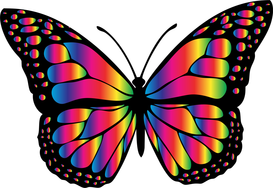 Insect Animal Chrissy S Wish Memorial Fund - Big Picture Of Butterfly (1090x750), Png Download