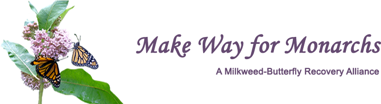 Make Way For Monarchs - 12.800 Pcs-common Milkweed Monarch Butterfly Hummingbird (1020x210), Png Download