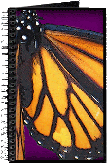 Hudson Valley Farm Art - Rasta Sunshine Color Journal (350x350), Png Download