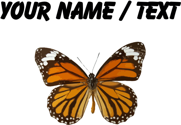Custom Monarch Butterfly Mousepad - Custom Monarch Butterfly Shower Curtain (700x700), Png Download